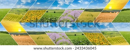 Agricultural fields and blue sky. Photo collage. Wide photo.