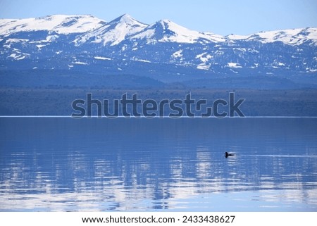A bird is flying over a beautiful lake. The sky is clear and the water is calm