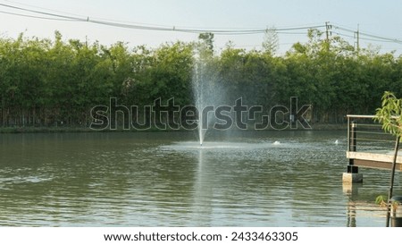 Picture of a fountain in the middle of a pond that is currently active Looking from the bank on the side of the bridge. The other side It is a tree of medium height growing together to form a thick 