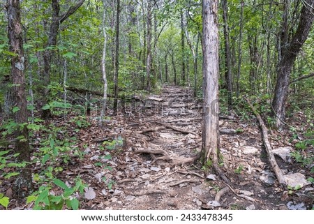 Landscape of limestone covered trail in the Duck River Complex State Natural Area in Maury County, Tennessee, USA Royalty-Free Stock Photo #2433478345