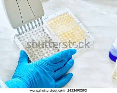 Enzyme-linked immunosorbent assay (ELISA) 96 well micro plate, Immunology or serology testing method in science medical laboratory Royalty-Free Stock Photo #2433490593