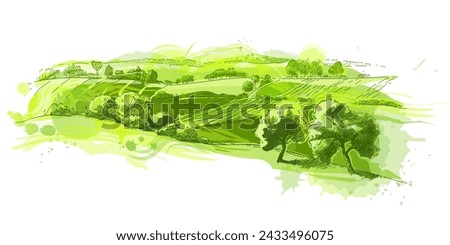 Watercolor green field landscape on small hill. Meadow grass, nature, pasturage, farm. Rural scenery landscape panorama of countryside pastures. Vector Royalty-Free Stock Photo #2433496075