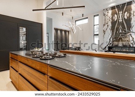 Contemporary modern home exterior and interior with floor to ceiling marble fireplace black granite countertops in the kitchen modern stylish furniture built in wall ovens custom fridge bar stools