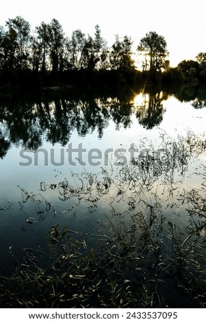 Photo Picture of Beautiful  Wild Brenta River in North Italy