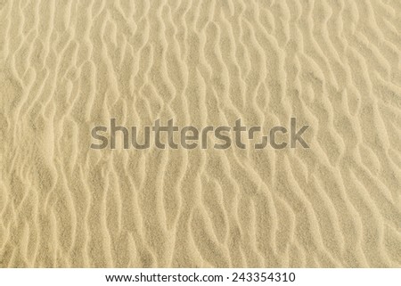 Texture of the sand dunes. Sunny day.