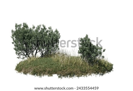 Round surface of Small Pine forest patch covered with flowers, green or dry grass isolated on white background. Realistic natural element for design. Bright 3d	

