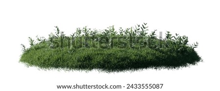 round surface patch covered with flowers, green leaf rock plant or dry grass isolated on white background. Realistic natural element for design. Bright 3d illustration.	 Royalty-Free Stock Photo #2433555087
