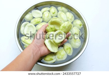 woman hand holding a Cut in half and peel green raw organic Mangoes (Mangifera indica L. Var. ) fruit in a bowl with water isolate on a backdrop. Prepare to do fruit compote , pickling mangoes, 