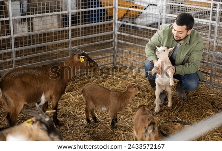 Successful young bearded breeder playing with cute goatlings in farm stall Royalty-Free Stock Photo #2433572167