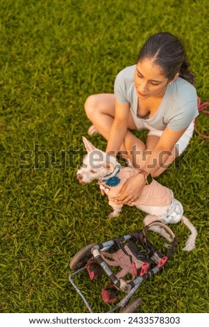 Young woman sitting with her disabled dog in the park at sunset after a long walk.