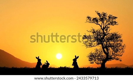 Silhouette of a rabbit in the evening meadow