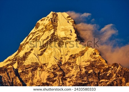 Ama Dablam shining like burnished gold in the golden light of the evening seen from Pangboche in Nepal Royalty-Free Stock Photo #2433580333