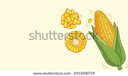 Realistic isolated yellow corn cob. Ripe raw maize corncob with green leaves. Isolated 3d vector edible and nutritious cylindrical core of farm plant, filled with rows of sweet and juicy kernels Royalty-Free Stock Photo #2433600729
