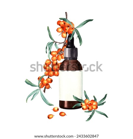 Composition with sea buckthorn branch and brown glass bottle with white label for cosmetic oil, serum, medicine. Hand drawn watercolor illustration isolated on white background. For clip art template