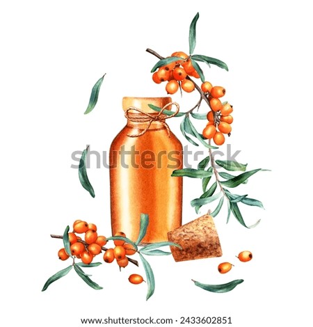 Composition with sea buckthorn and open glass oil bottle, jar with cork and decorative rope jute string. Hand drawn watercolor illustration isolated on white. For clip art template label