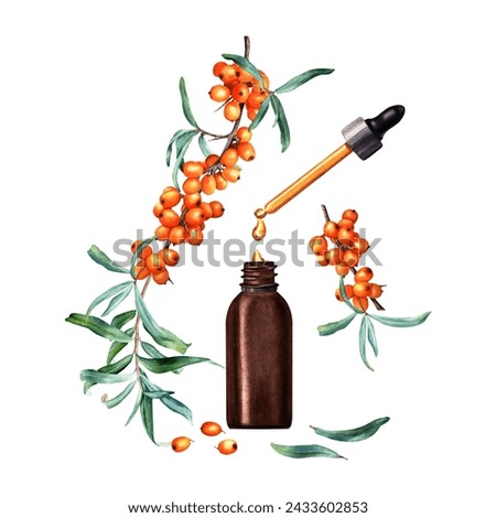Composition with sea buckthorn branches and small brown glass bottle dropper and pipette with cosmetic oil, serum or medicine drops. Hand drawn watercolor illustration isolated on white. For clip art