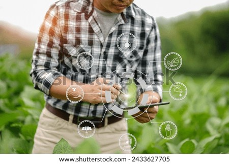 Businessman gardener using tablet Viewing potato plant picture of potato leaves in harvest season in fertile soil