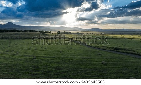 Bales of hay in a field in the late afternoon, with soft sunlight creating pleasing shadows and texture on the bales and grass. Shot in the Free State province of South Africa