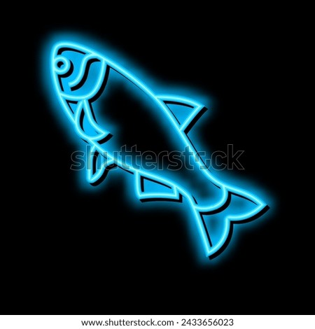 silver carp neon light sign vector. silver carp illustration