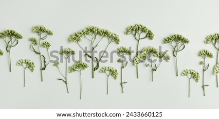Minimal autumn composition with dried wild flowers on green background, nature autumnal decor, still life photo earth colors, minimal style flat lay of natural forest flowers. Autumn, fall concept.