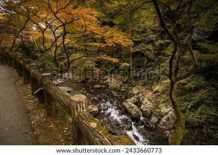 Long exposure photography of Beautiful waterfall rocky river stream in Minoh park or Minoo Park, Osaka, Japan with trees in autumn.