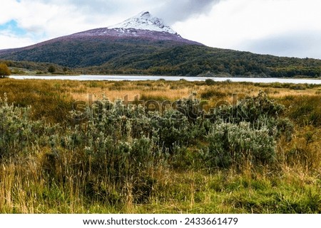 Tierra del Fuego National Park, Patagonia, Argentina Royalty-Free Stock Photo #2433661479
