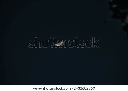 picture of a bright half moon at night. Moon glowing on black sky.