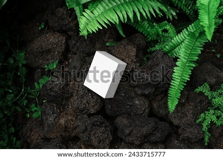 Box packaging branding mockup template, real photo, set amidst the stone rocks backdrop of tropical nature environment. Blank isolated object to place your design. 