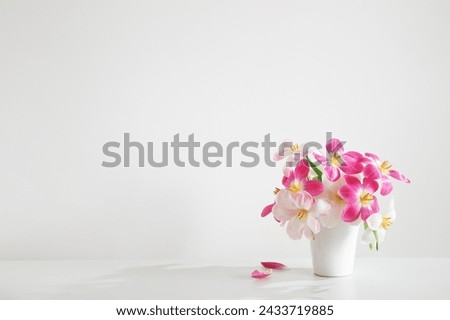 white and pink  tulips in white vase on background wall Royalty-Free Stock Photo #2433719885