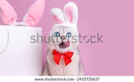 A funny white cat in a hat with bunny ears and a red bow tie,licks the muzzle with his tongue Royalty-Free Stock Photo #2433733637