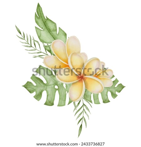 Plumeria Flower bouquet Watercolor clip art. Hand drawn on isolated background. Botanical print of Frangipani. Drawing of leaves and blooming plant. Tropical nature painting. For logos and stickers.