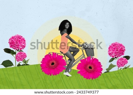 Photo sketch collage picture of happy smiling lady rising bike flower wheels isolated colorful background