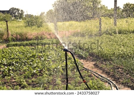 The picture shows an irrigation device installed in a garden. Pressurized water released from the device forms a cloud of small droplets.