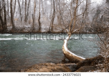 Winter landscape views along the Wataunga River at Sycamore Shoals State Historic Park in Elizabethton, Tennessee, USA Royalty-Free Stock Photo #2433776021