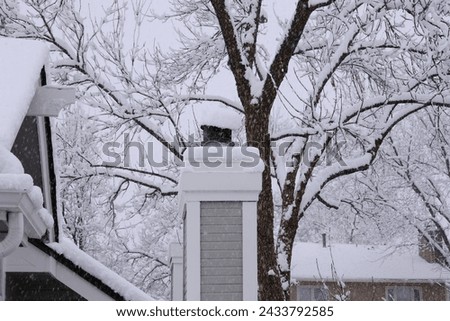 Winter snowfall with roof chimney pipe and trees moody landscape photo. Seasonal nature background texture.