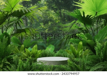 Concrete podium tabletop floor in outdoor tropical garden forest blurred green leaf plant nature background.Natural product placement pedestal stand display,summer jungle paradise concept.