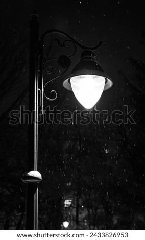 Black and white pictures. Winter, park