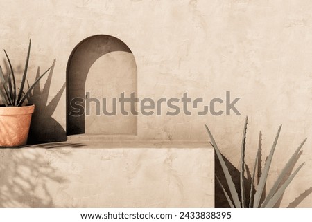 Empty texture stucco wall with shade and aloe clay pot. Summer background with traditional home exterior. Architecture design with neutral rustic aesthetic. Royalty-Free Stock Photo #2433838395