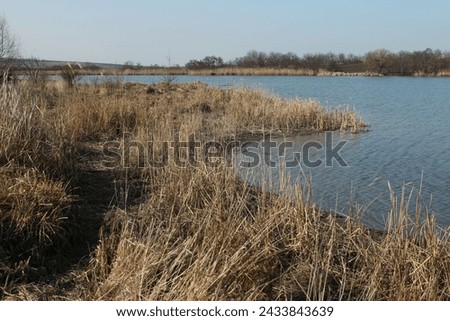 A body of water with grass and trees in the background