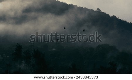 aerial photography of mountain with green leaves tree during misty day hd photo