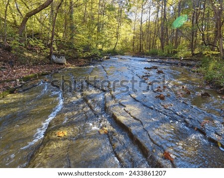 Aerial Autumn Stream in Woodland - Hathaway Preserve, Indiana Royalty-Free Stock Photo #2433861207