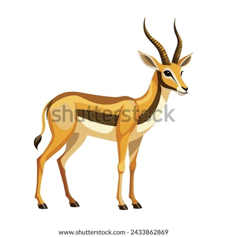 Gazelle illustration on White Background