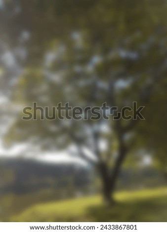 Blur photo view of a park in sunny day with a big green tree for background copy space