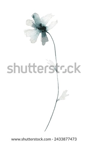 Watercolor painted floral delicate blue and gray wild daisy flower. Hand drawn illustration. Traced vector watercolour clipart drawing.