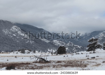 Snow in the high country of Colorado.  Trees in the background with meadow in the Rocky Mountains of Colorado.  Pockets of snow and drifts surrounded by dormant vegetation. Low hanging snow clouds. Royalty-Free Stock Photo #2433883639