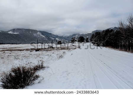 Snow in the high country of Colorado.  Trees in the background with meadow in the Rocky Mountains of Colorado.  Pockets of snow and drifts surrounded by dormant vegetation. Low hanging snow clouds. Royalty-Free Stock Photo #2433883643