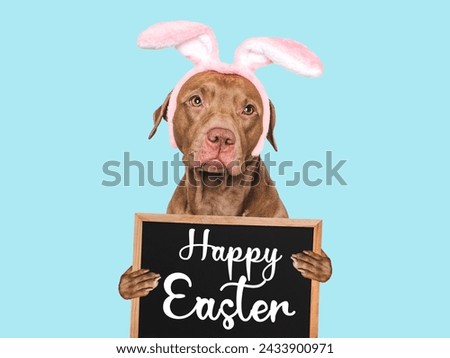 Happy Easter. Lovable, pretty dog holding a congratulatory message in its paws. Closeup, studio shot, indoors. Congratulations for family, loved ones, relatives, friends, colleagues. Pets care concept