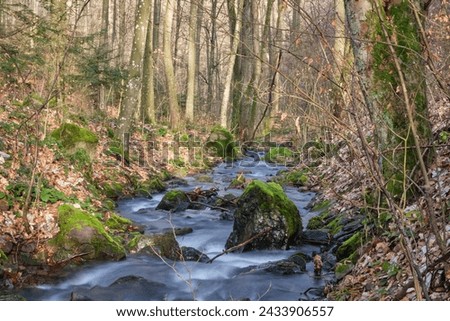 Forest stream in the spring forest. Long exposure photography, smooth water