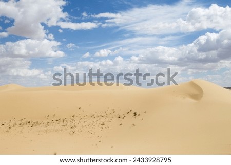 Tuyesu dunes landscape, Senek, Mangystau region, Kazakhstan. Desert landscape Royalty-Free Stock Photo #2433928795