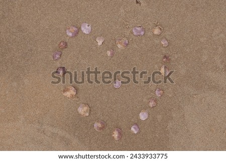Heart made of shells on the beach